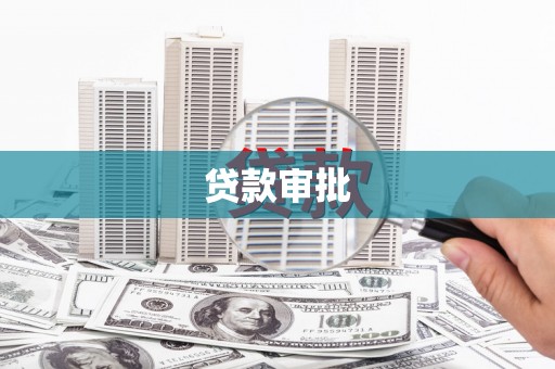 善化贷款审批