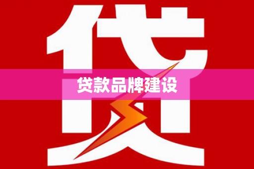 善化贷款品牌建设