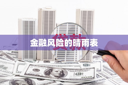 善化金融风险的晴雨表
