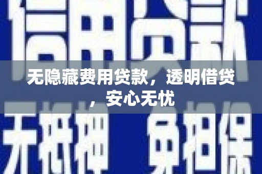 善化无隐藏费用贷款，透明借贷，安心无忧