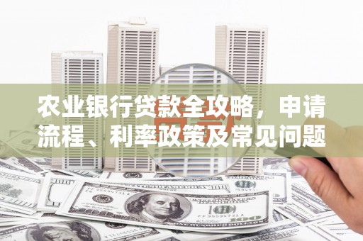 善化农业银行贷款全攻略，申请流程、利率政策及常见问题解析