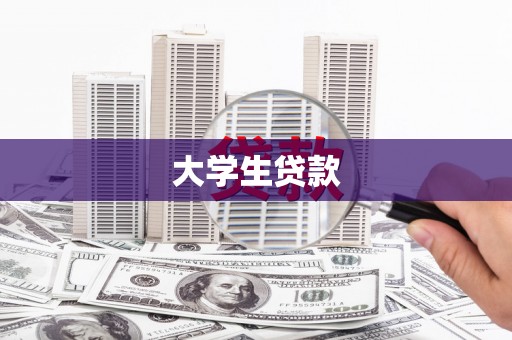 善化大学生贷款