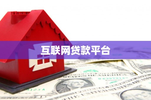 善化互联网贷款平台