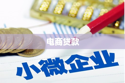 善化电商贷款
