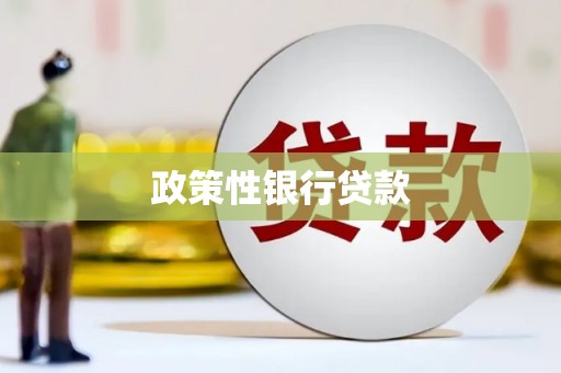 善化政策性银行贷款
