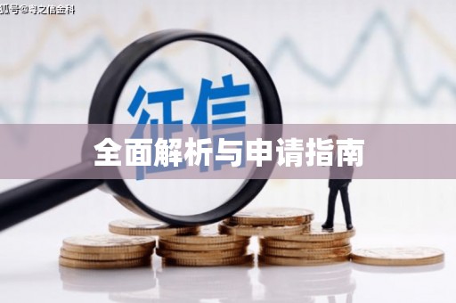 善化全面解析与申请指南