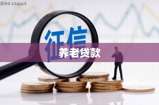 善化养老贷款