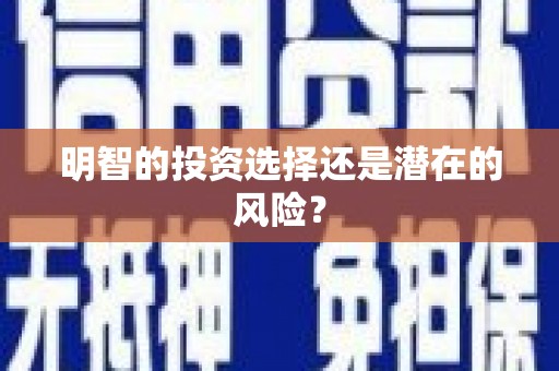 善化明智的投资选择还是潜在的风险？