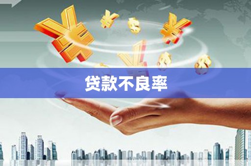 善化贷款不良率