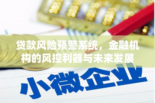 善化贷款风险预警系统，金融机构的风控利器与未来发展