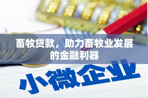 善化畜牧贷款，助力畜牧业发展的金融利器