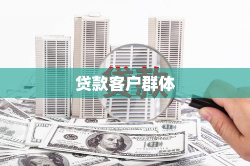 善化贷款客户群体