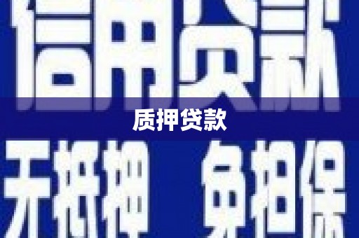 善化质押贷款