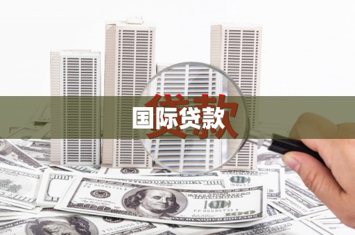 善化国际贷款