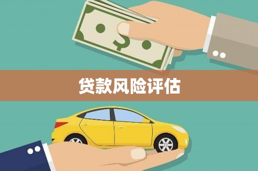 善化贷款风险评估