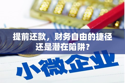 善化提前还款，财务自由的捷径还是潜在陷阱？