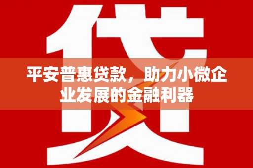 善化平安普惠贷款，助力小微企业发展的金融利器