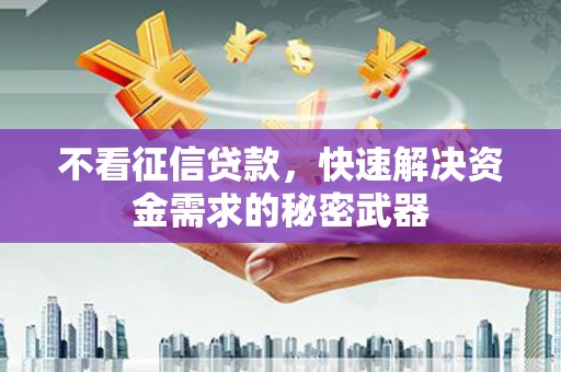 善化不看征信贷款，快速解决资金需求的秘密武器
