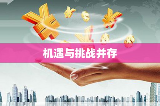 善化机遇与挑战并存