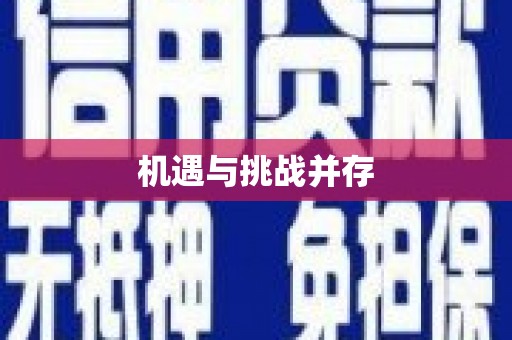 善化机遇与挑战并存