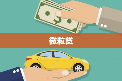 善化微粒贷