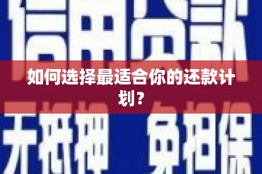 善化如何选择最适合你的还款计划？