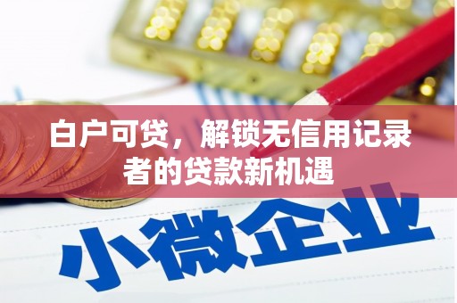 善化白户可贷，解锁无信用记录者的贷款新机遇