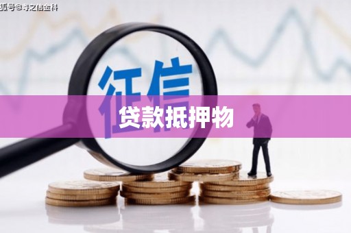 善化贷款抵押物