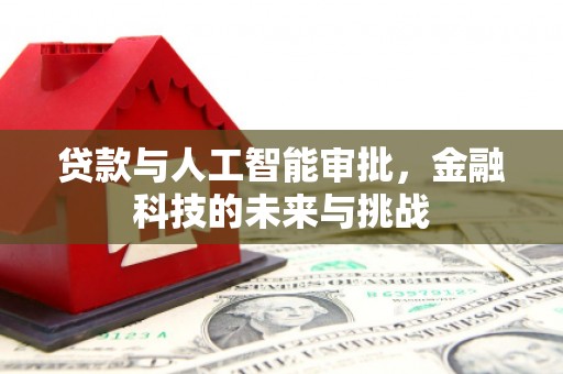 善化贷款与人工智能审批，金融科技的未来与挑战