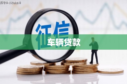 善化车辆贷款