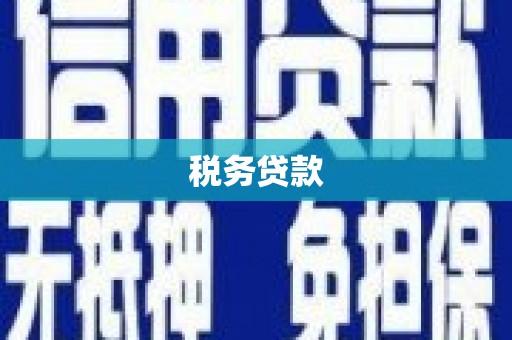 善化税务贷款