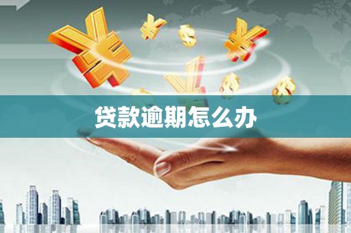 善化贷款逾期怎么办