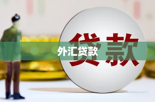 善化外汇贷款