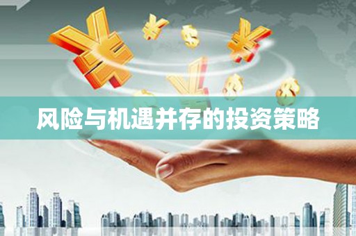 善化风险与机遇并存的投资策略