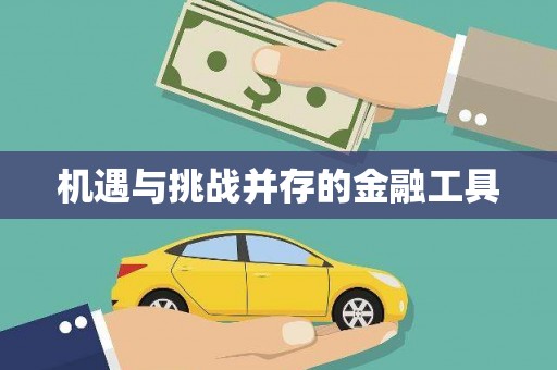 善化机遇与挑战并存的金融工具