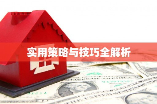 善化实用策略与技巧全解析