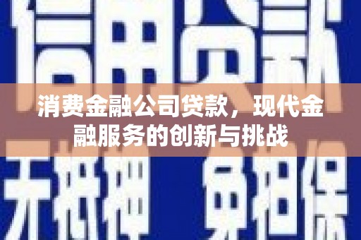 善化消费金融公司贷款，现代金融服务的创新与挑战