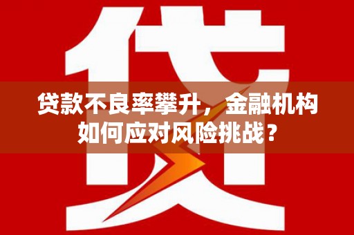 善化贷款不良率攀升，金融机构如何应对风险挑战？