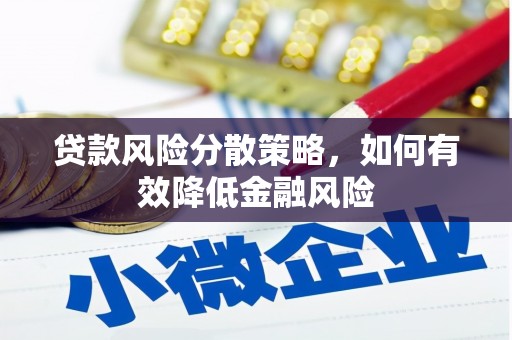 善化贷款风险分散策略，如何有效降低金融风险