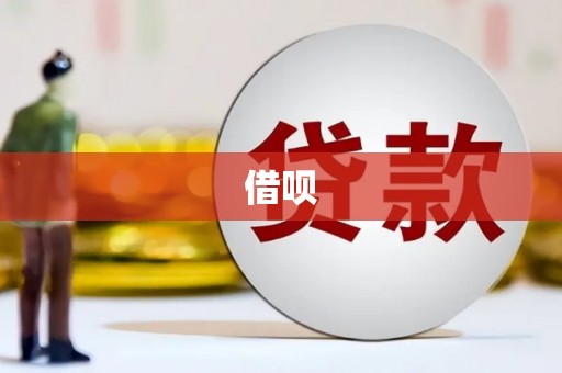 善化借呗