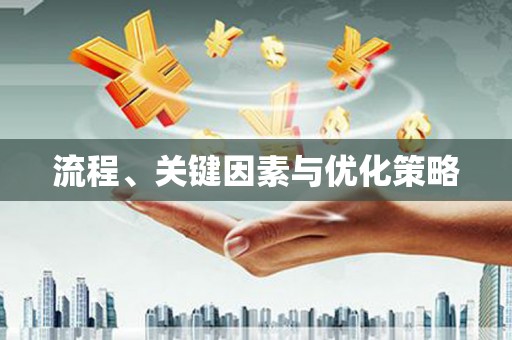 善化流程、关键因素与优化策略