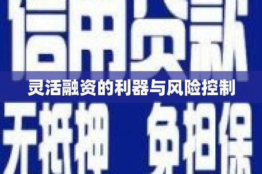 善化灵活融资的利器与风险控制
