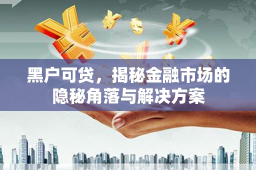 善化黑户可贷，揭秘金融市场的隐秘角落与解决方案