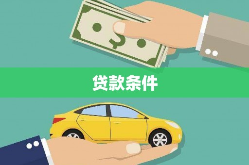 善化贷款条件
