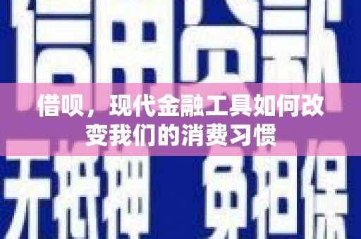 善化借呗，现代金融工具如何改变我们的消费习惯