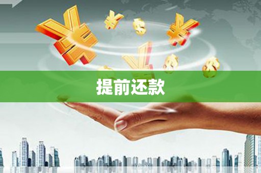 善化提前还款