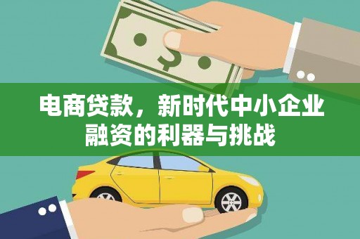 善化电商贷款，新时代中小企业融资的利器与挑战
