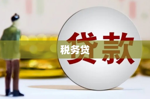 善化税务贷