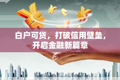 善化白户可贷，打破信用壁垒，开启金融新篇章