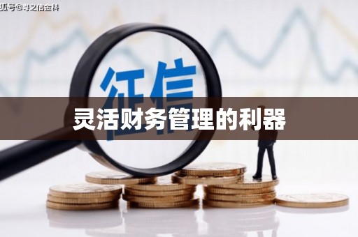 善化灵活财务管理的利器